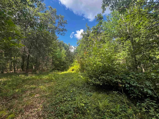 $400,000 | 80-ac 80-ac 13th Avenue, Arkdale, WI 54613