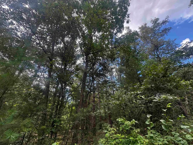 $400,000 | 80-ac 80-ac 13th Avenue, Arkdale, WI 54613