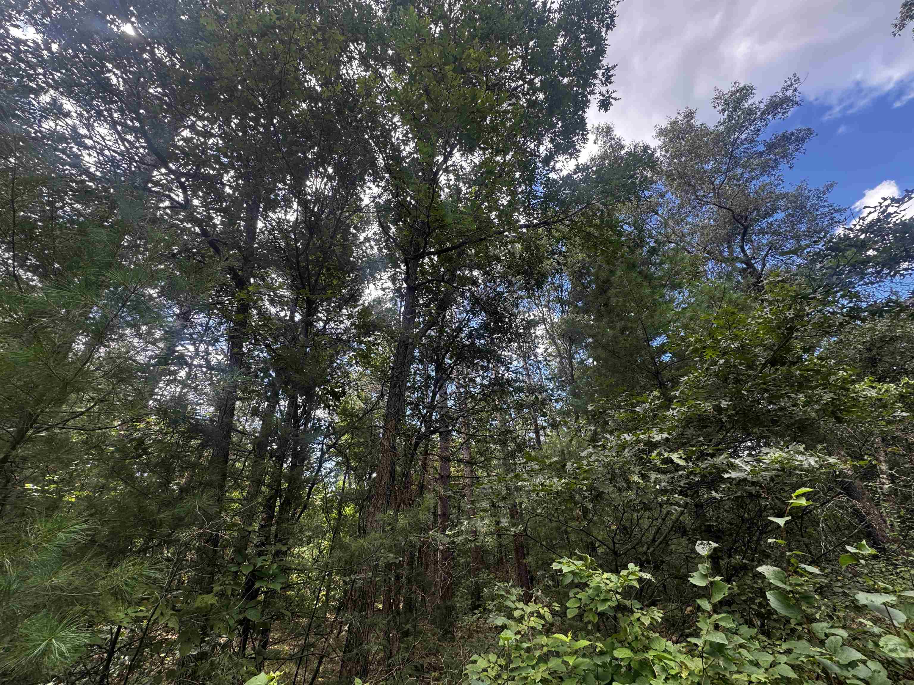 80-ac 80-ac 13th Avenue Arkdale, WI 54613 - Photo 9 of 35