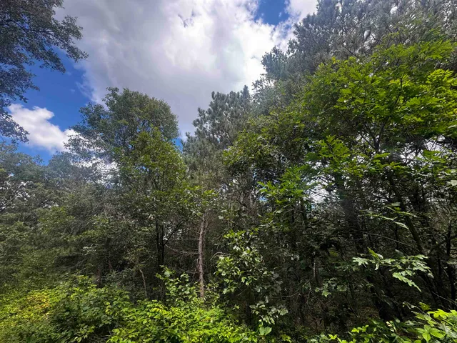 $400,000 | 80-ac 80-ac 13th Avenue, Arkdale, WI 54613