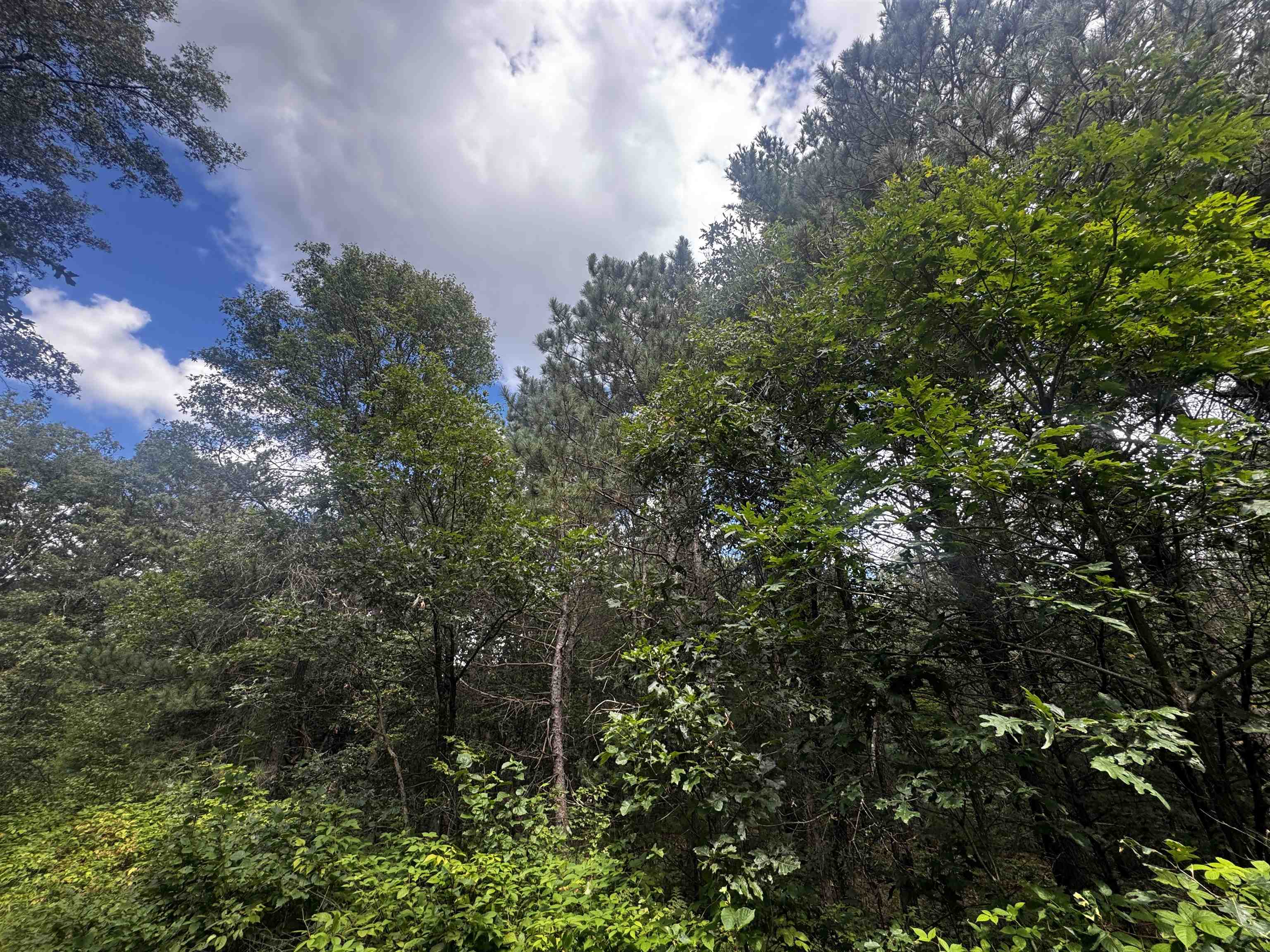 80-ac 80-ac 13th Avenue Arkdale, WI 54613 - Photo 10 of 35