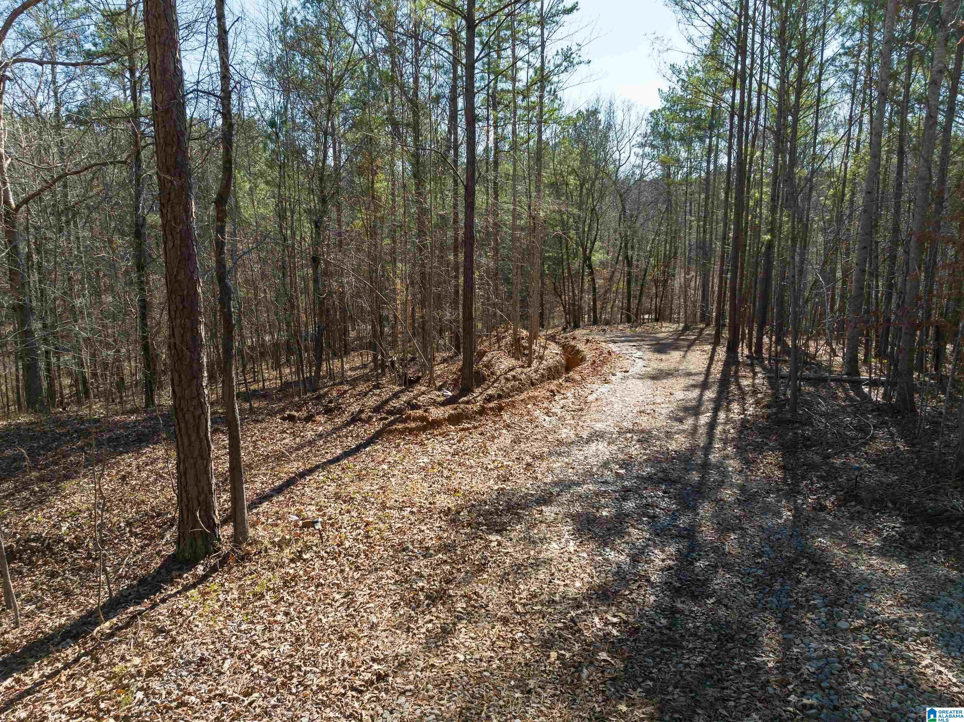 3659 McClendon Chapel Road, Unit 2 Bessemer, AL 35022 - Photo 28 of 44