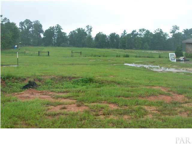 7586 Killam Road Century, FL 32535 - Photo 23 of 24
