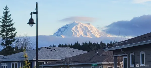 a view of a house with a backyard and a tree