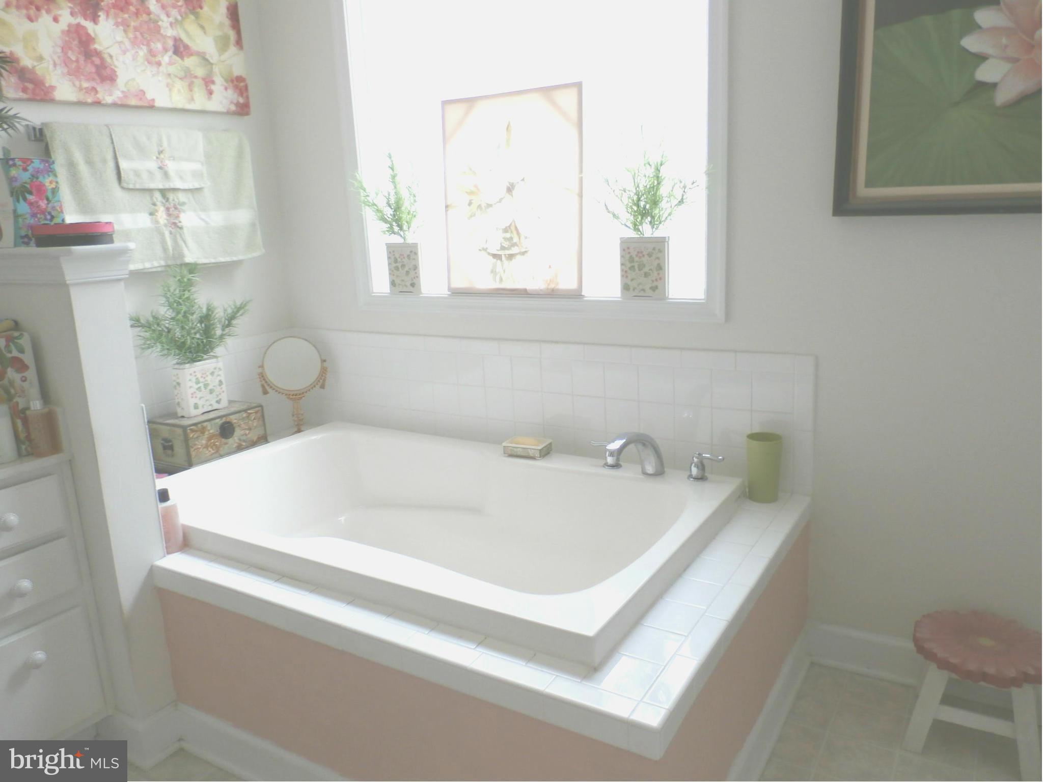 308 Battlefield Road Locust Grove, VA 22508 - Photo 16 of 23 Bath (Master)