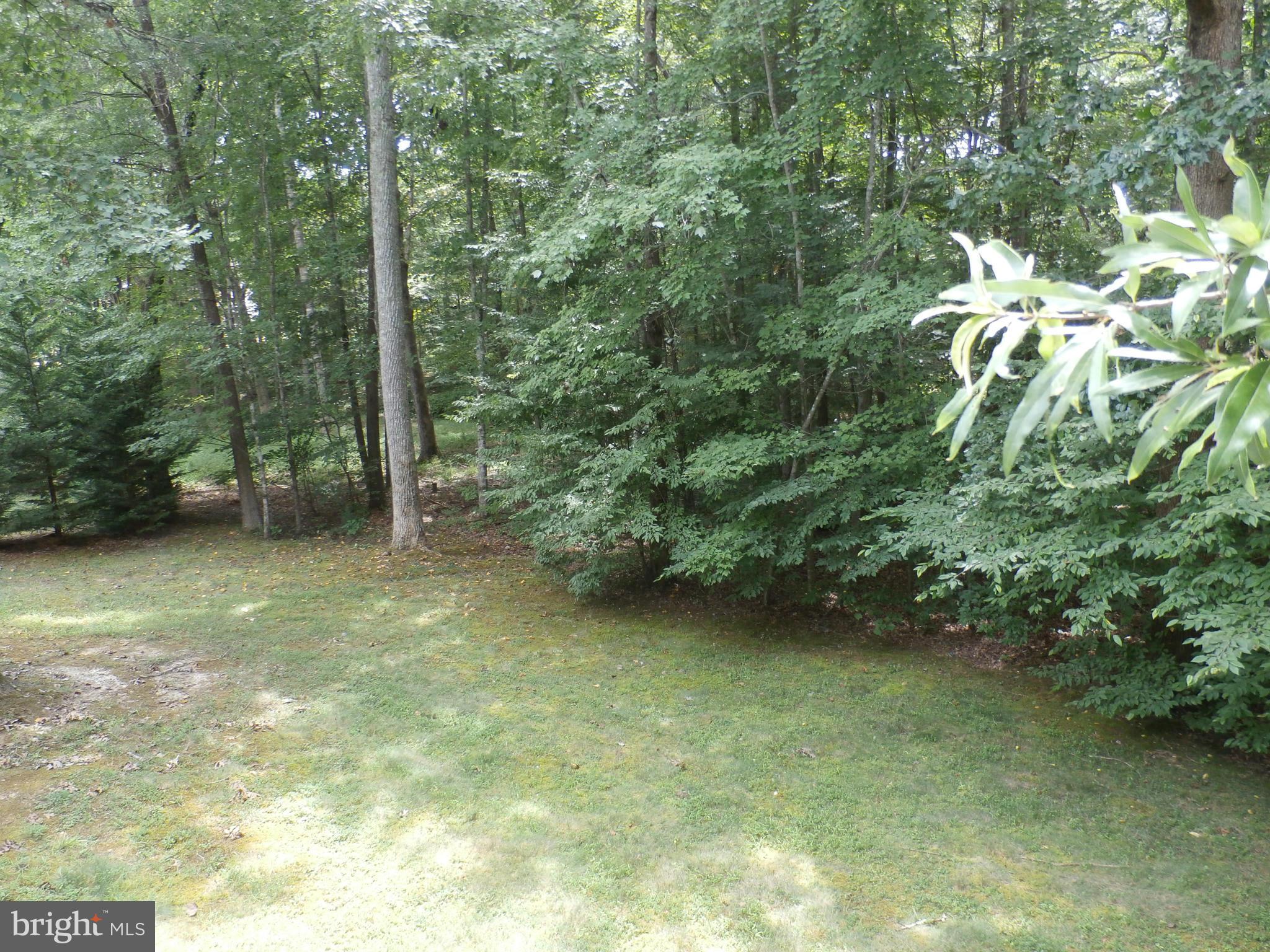308 Battlefield Road Locust Grove, VA 22508 - Photo 7 of 23 Exterior (Rear)