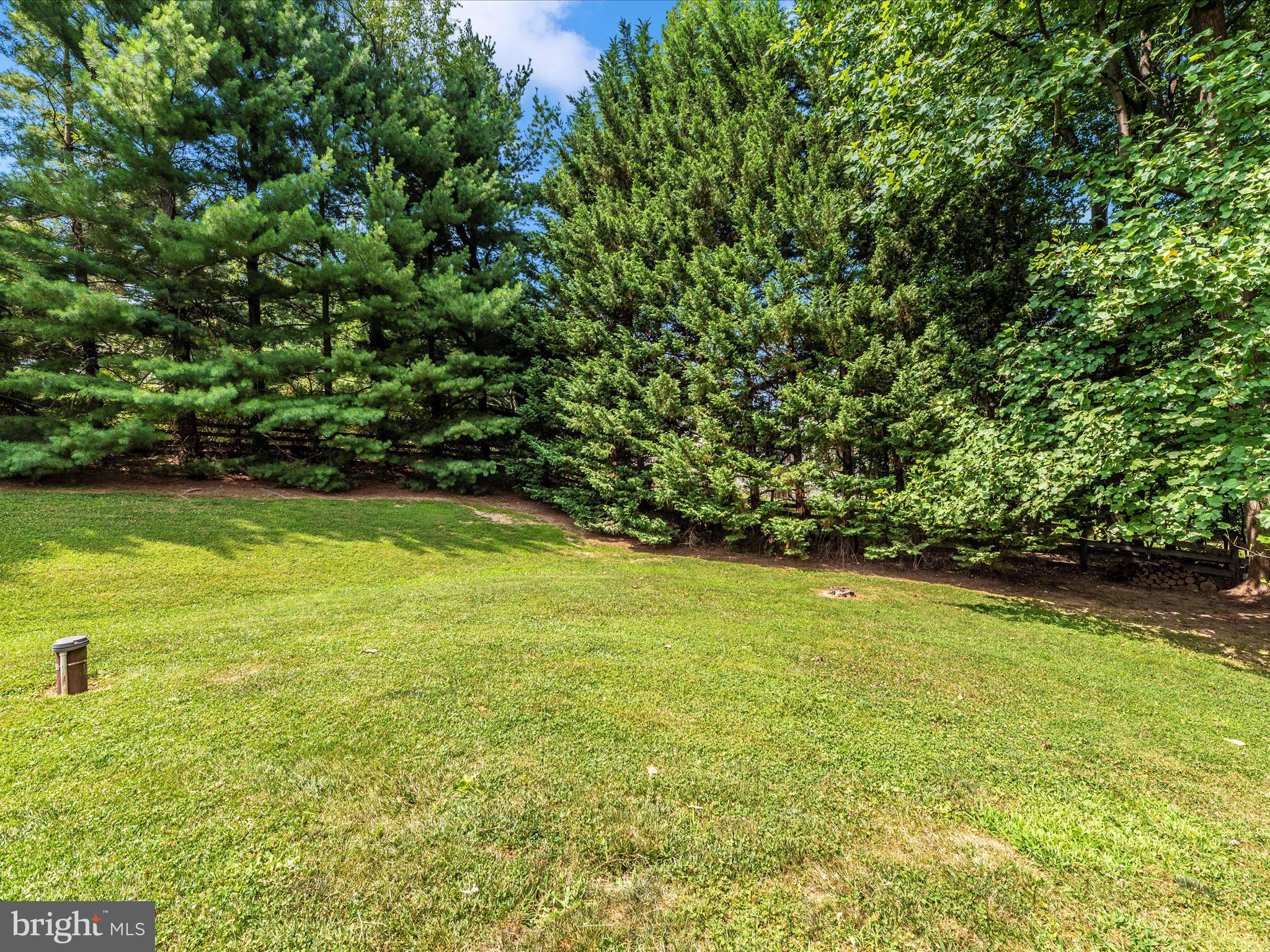 8930 Indian Springs Road Frederick, MD 21702 - Photo 54 of 69 a view of a large yard with a large tree