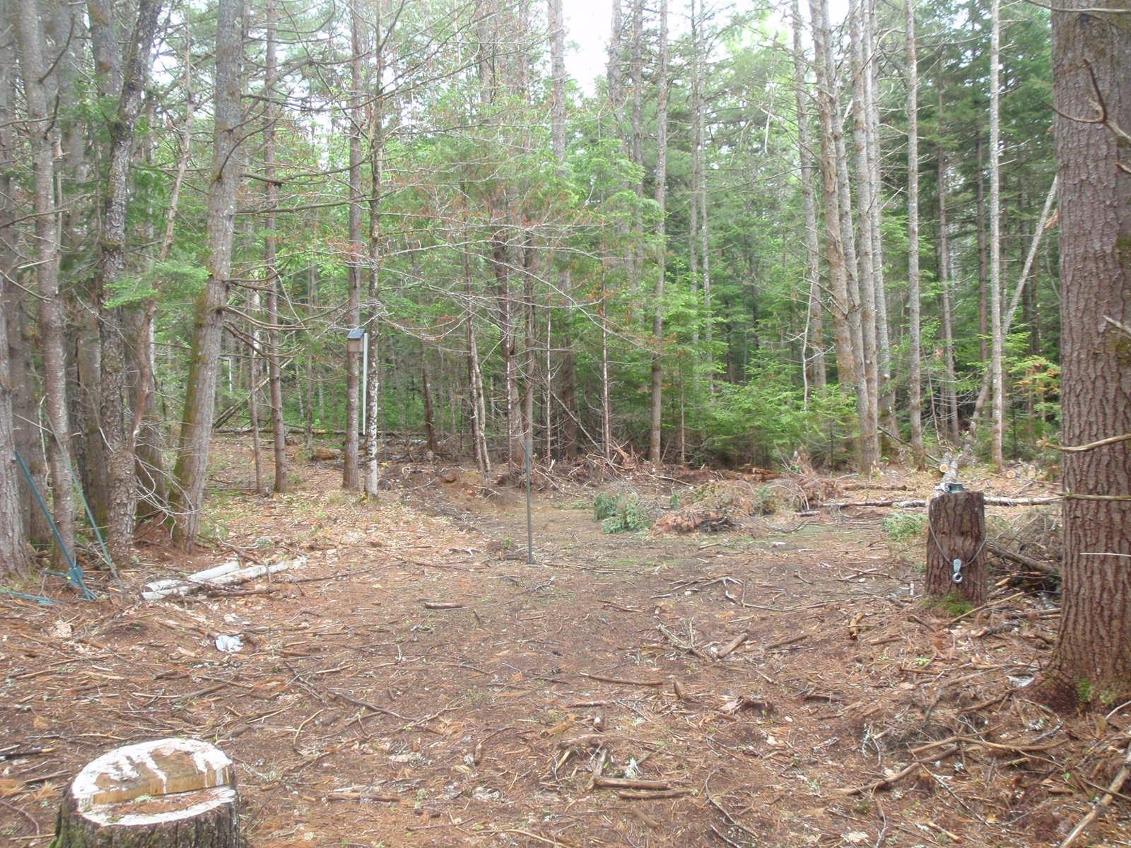 0 Island Road Grafton, NH 03240 - Photo 3 of 9 Gallery Image 3