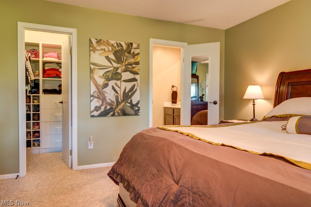 3902 Everett Road Richfield, OH 44286 - Photo 12 of 24 Master Bedroom