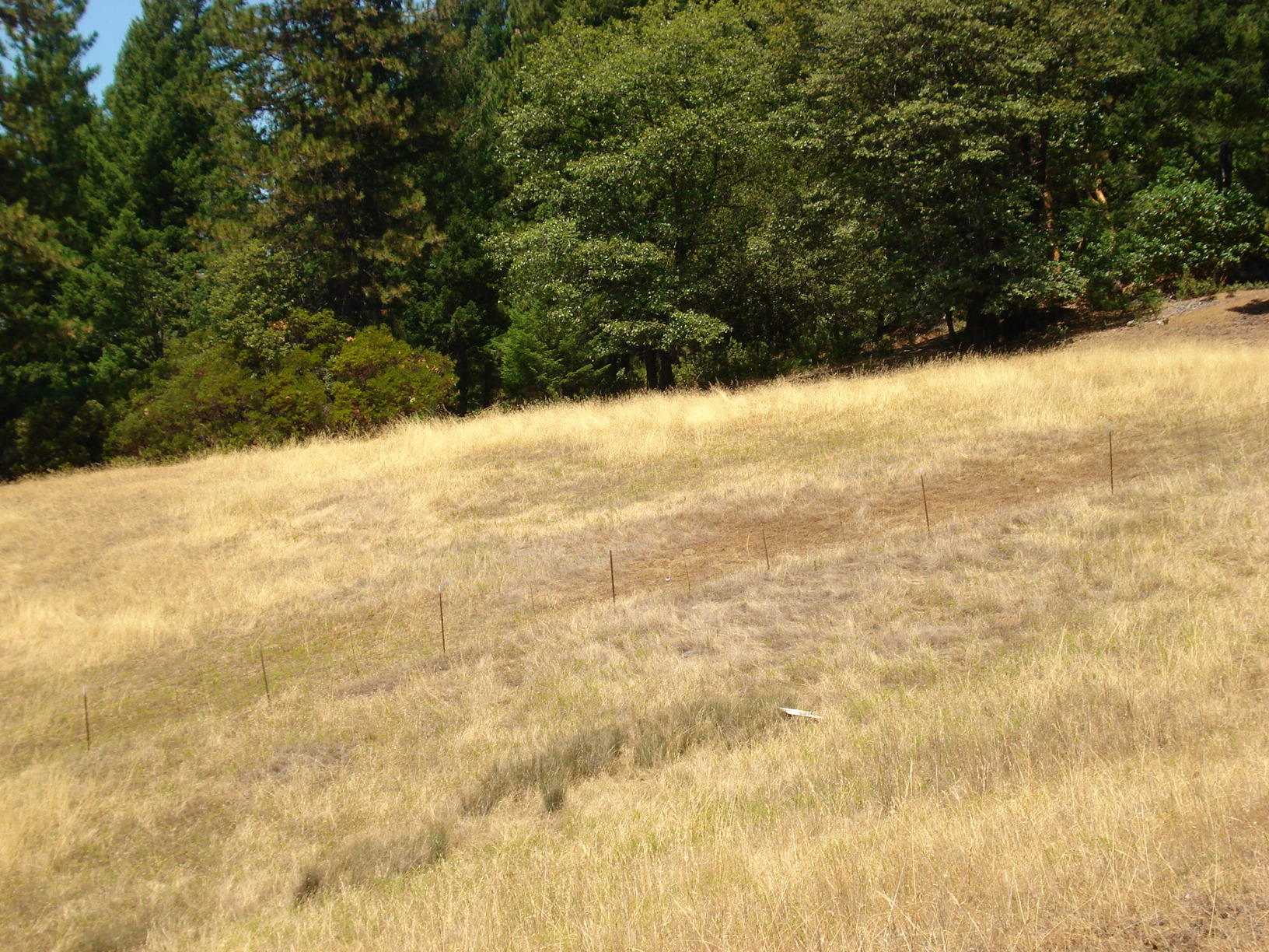0 Forest Service 2s05 Road Mad River, CA 95552 - Photo 5 of 12 Gallery Image 5