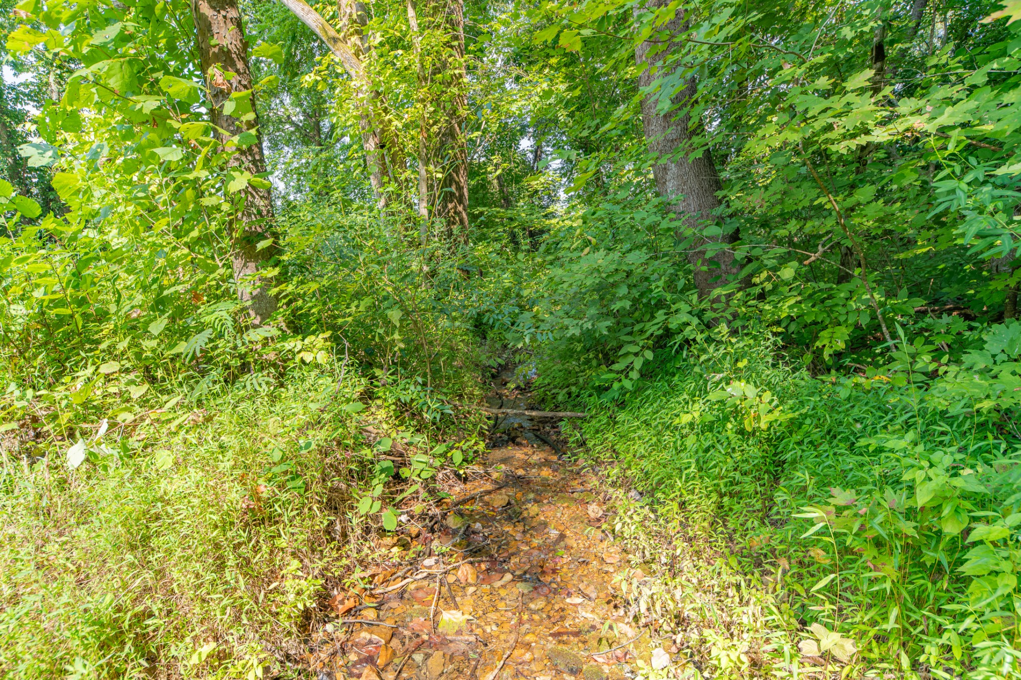 755 Briar Pond Road Centerville, TN 37033 - Photo 21 of 95 Gallery Image 21