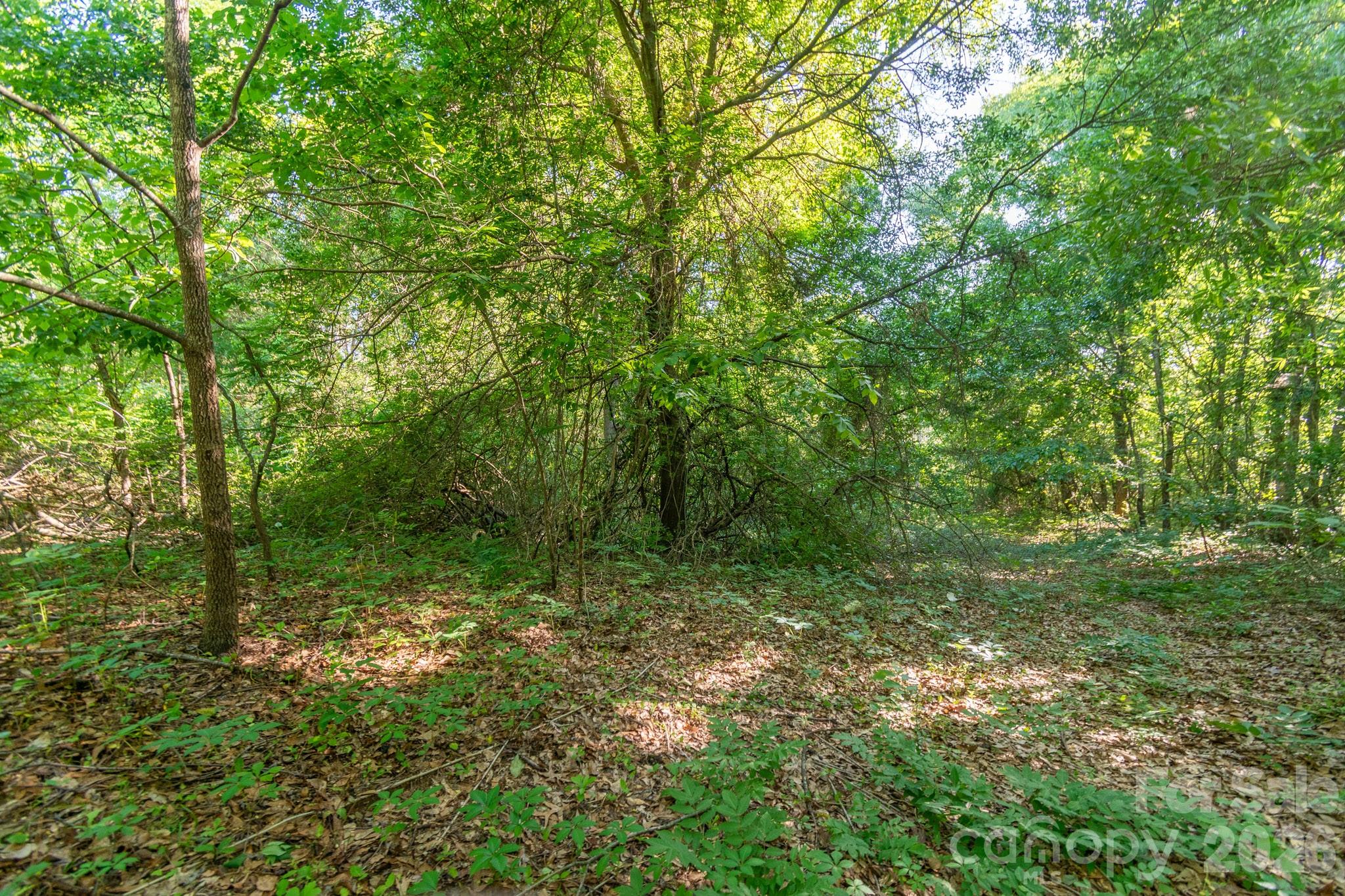 0 Airport Road Pageland, SC 29728 - Photo 20 of 46 Gallery Image 20