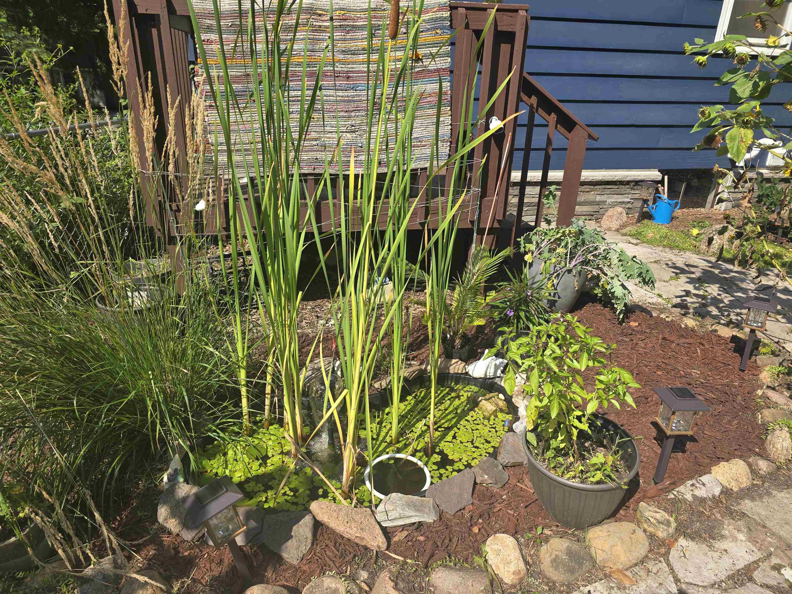 213 Highland Street Mount Horeb, WI 53572 - Photo 65 of 70