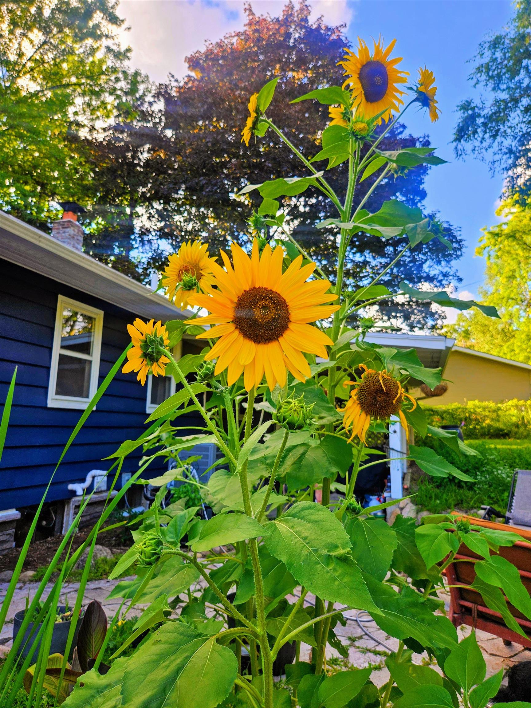 213 Highland Street Mount Horeb, WI 53572 - Photo 70 of 70