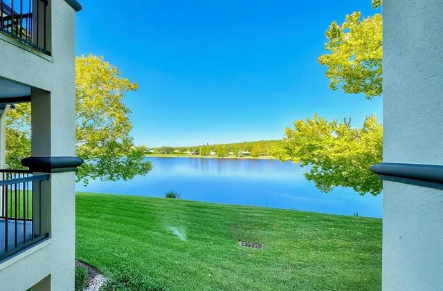 a view of a flower in a garden