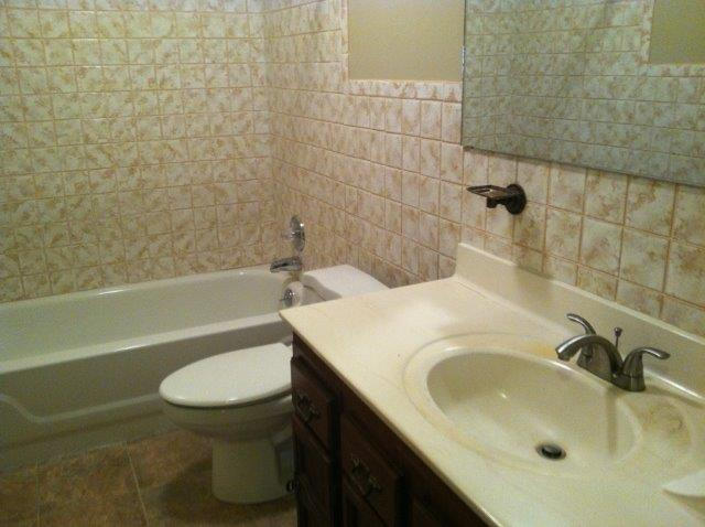 1650 Turner Branch Road Goodview, VA 24095 - Photo 16 of 48 a bathroom with a sink a toilet and bathtub