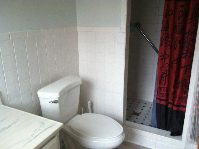 1650 Turner Branch Road Goodview, VA 24095 - Photo 19 of 48 a white toilet sitting next to a shower curtain