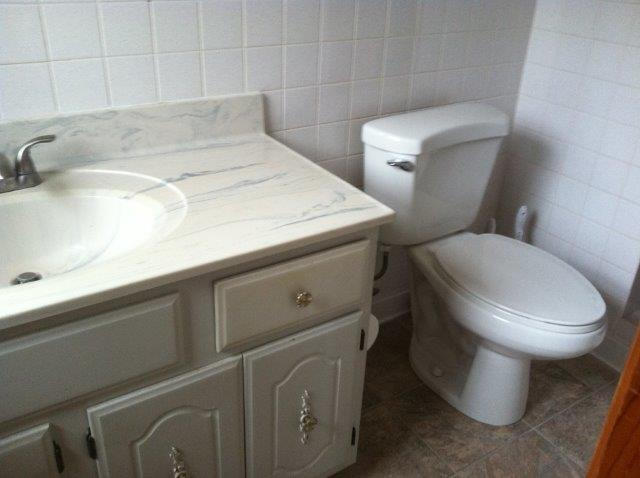 1650 Turner Branch Road Goodview, VA 24095 - Photo 20 of 48 a close view of a sink and a toilet