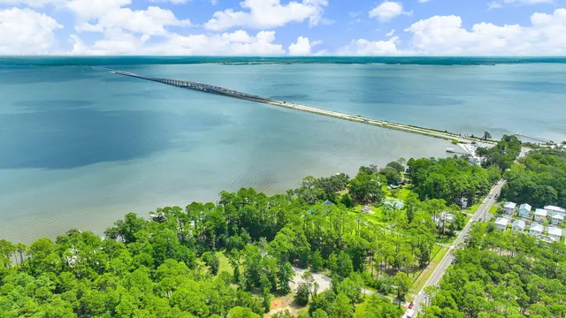 an aerial view of a house with a yard and large trees