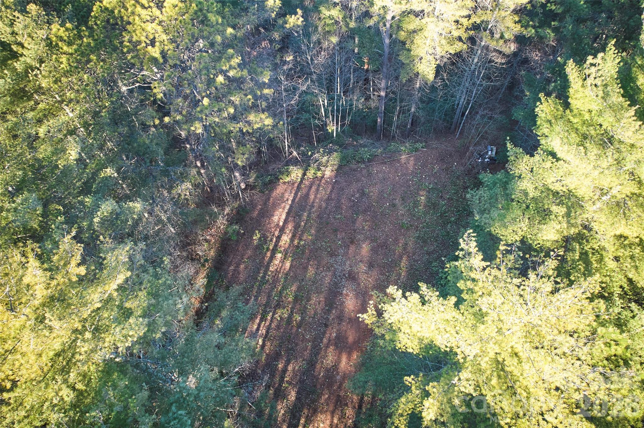 0 Piney Cove Road Bryson City, NC 28713 - Photo 4 of 4 a view of a yard with a tree
