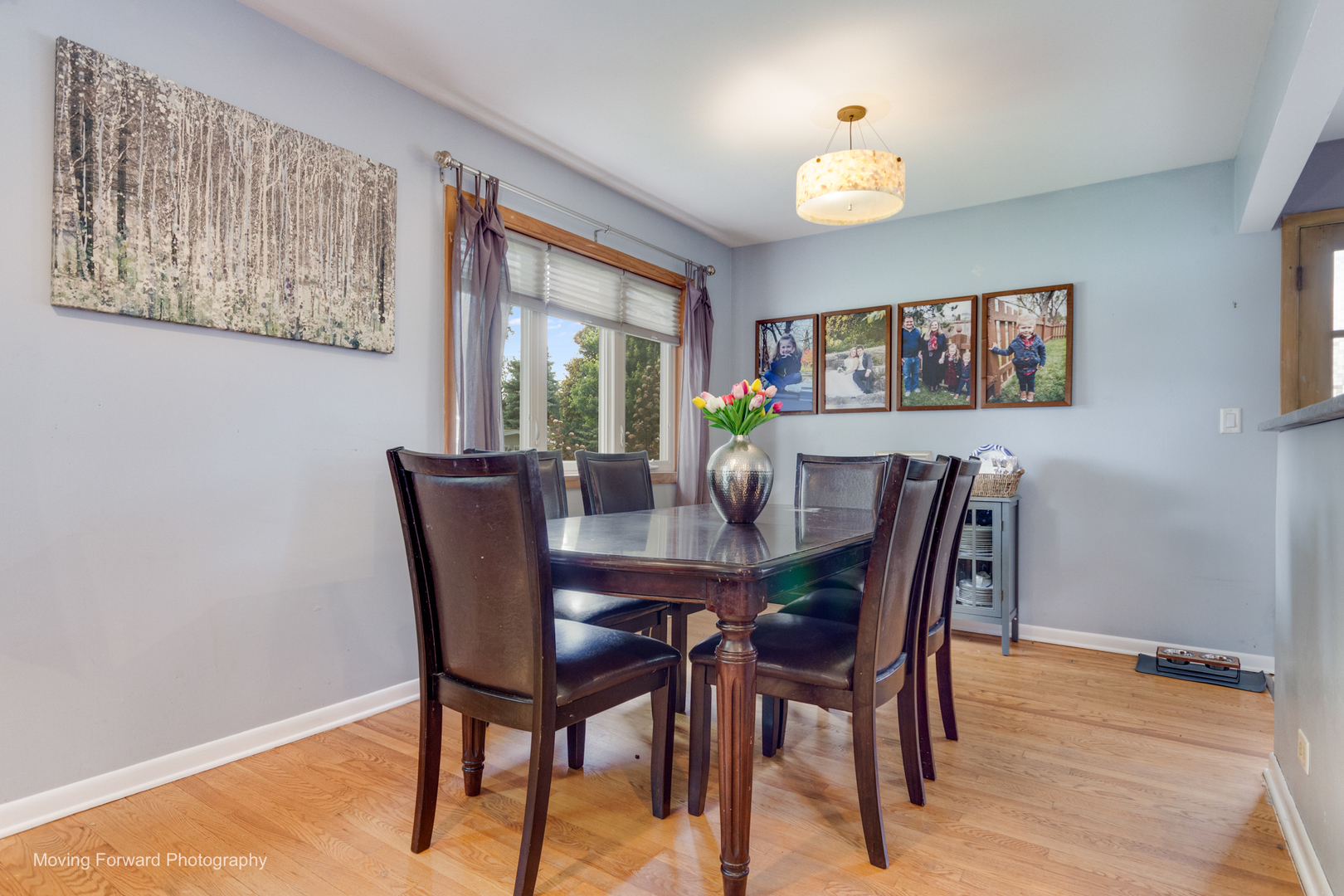 761 North Willow Road Elmhurst, IL 60126 - Photo 9 of 27