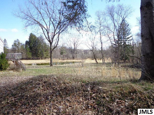 6535 South Jackson Road Jackson, MI 49201 - Photo 3 of 23 Photo 3