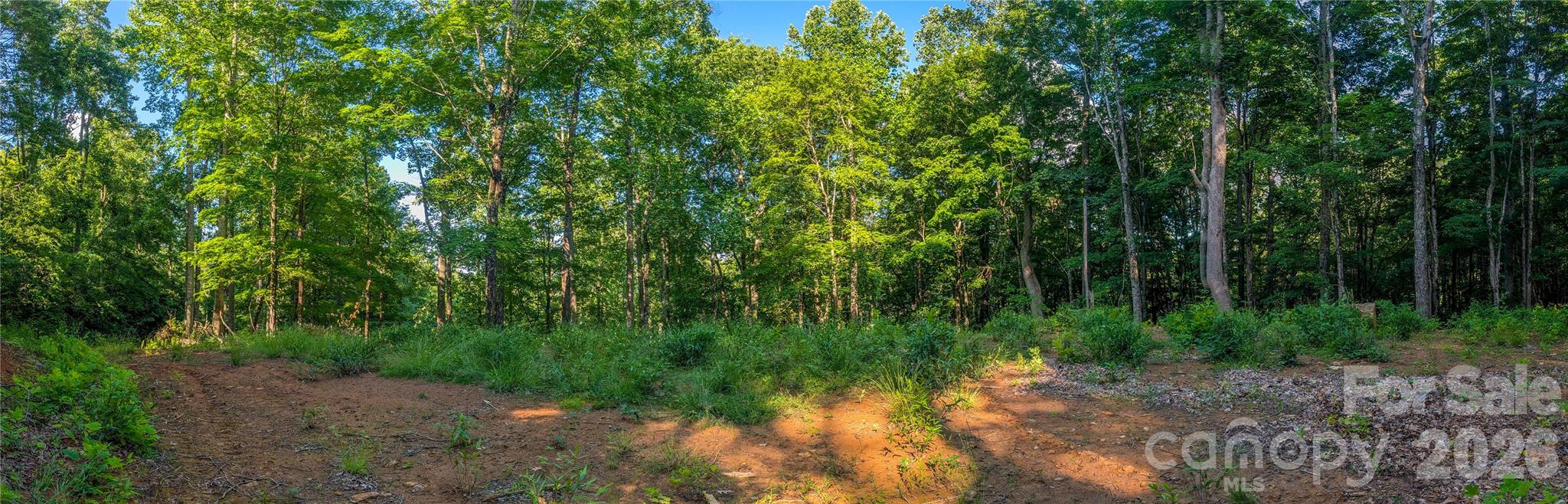 0 Amber Ranches, Unit 47 Bakersville, NC 28705 - Photo 10 of 18