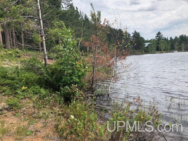 Tbd Adams Trail Seney, MI 49883 - Photo 9 of 16