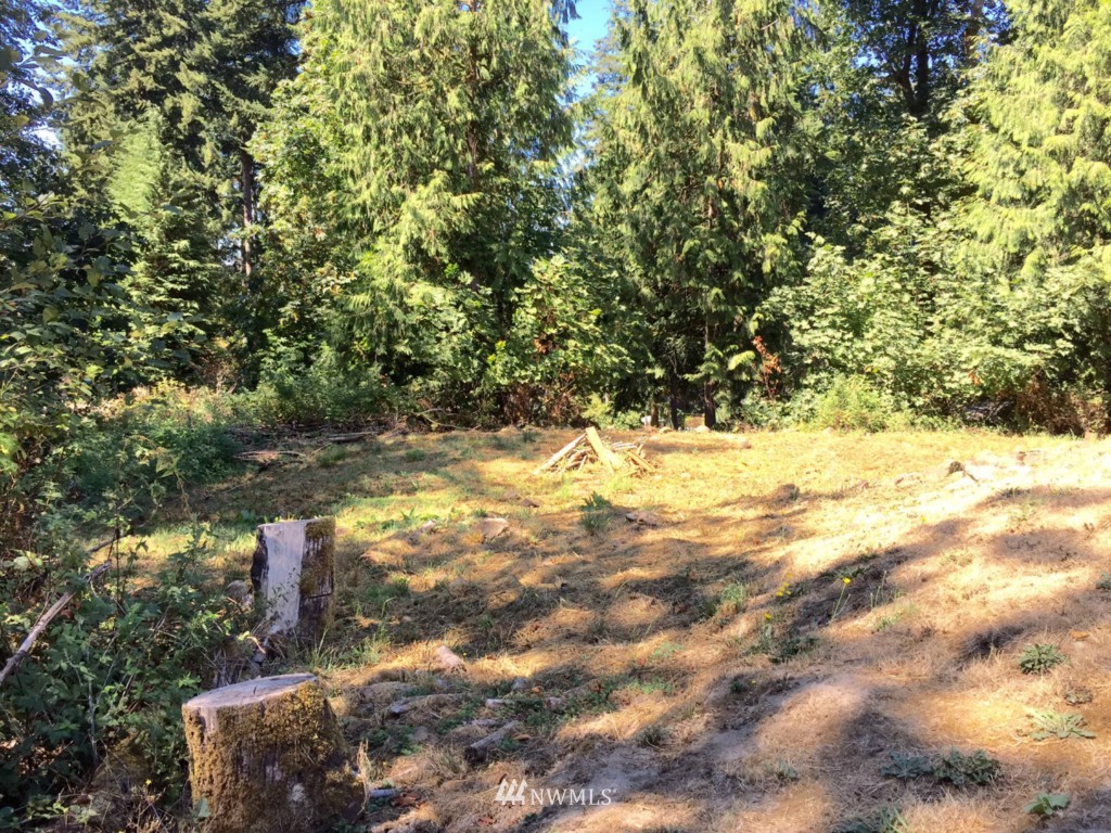 268 Niemi Road Longview, WA 98632 - Photo 23 of 25