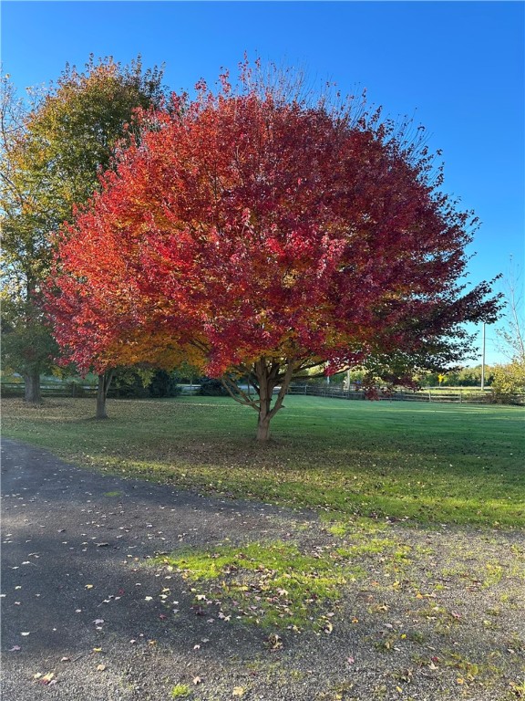 4876 Farnsworth Road Marion, NY 14505 - Photo 34 of 37