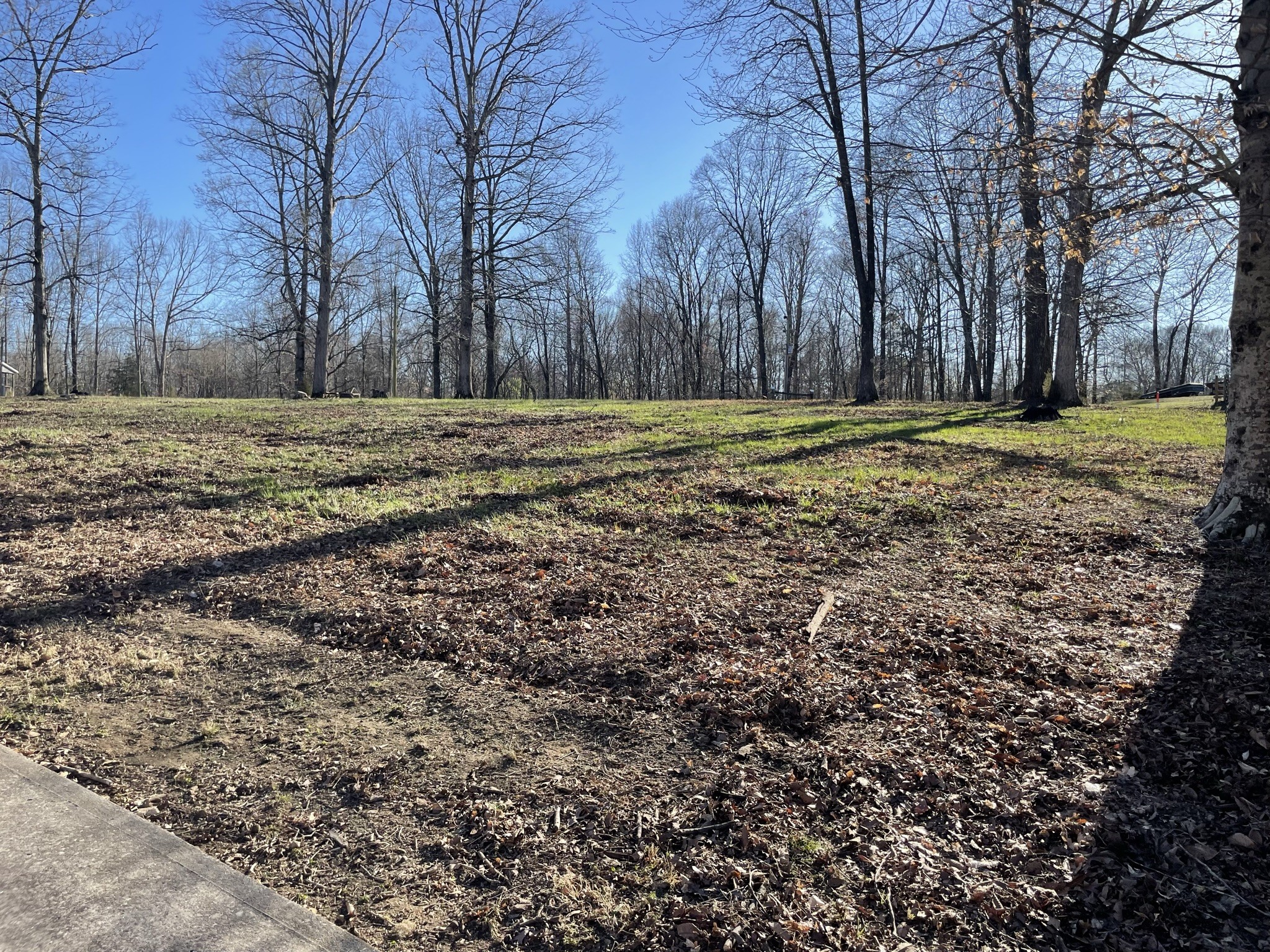 310 Shasteen Ridge Road Lynchburg, TN 37352 - Photo 11 of 36 a view of a yard with a house