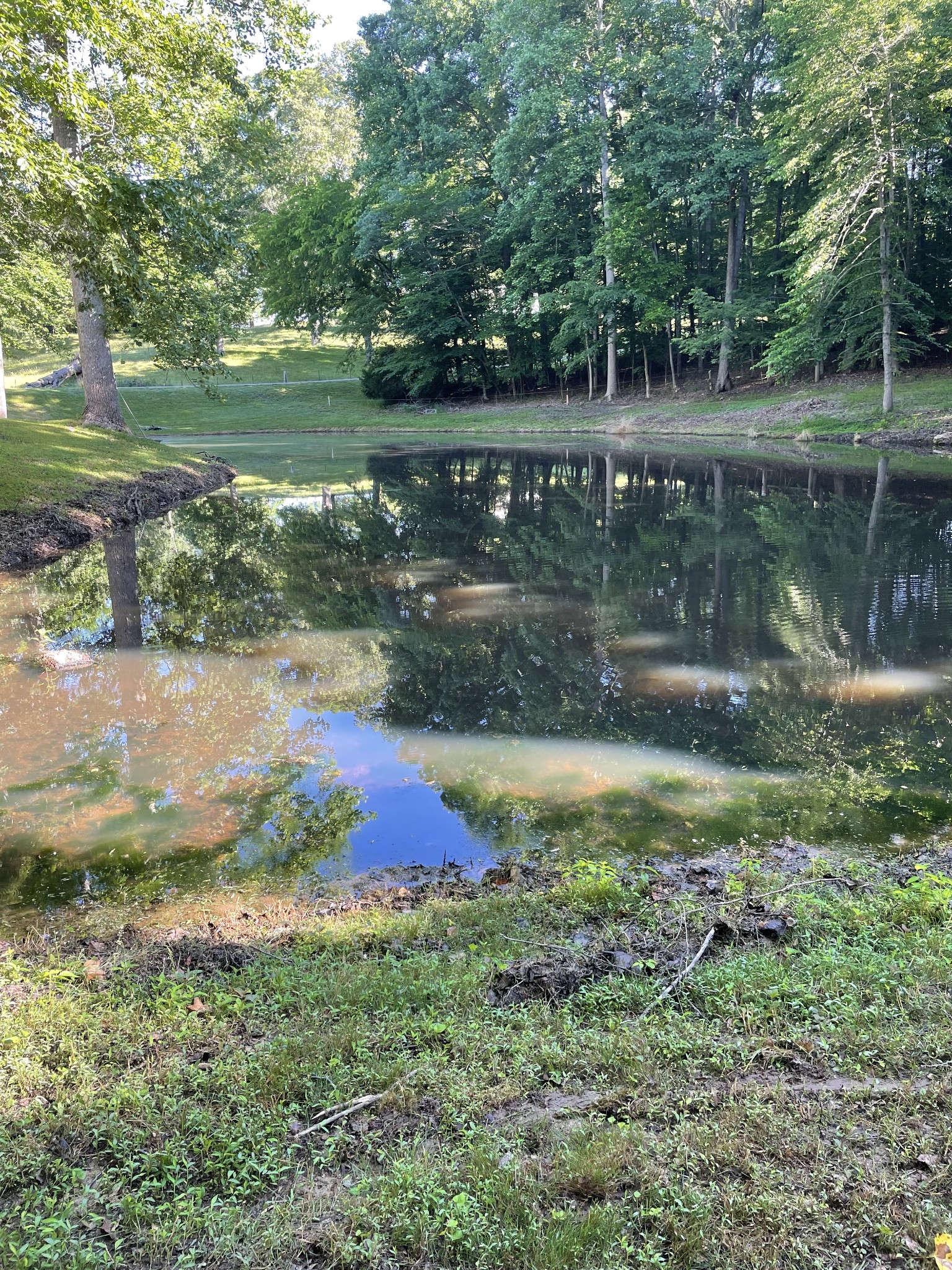 310 Shasteen Ridge Road Lynchburg, TN 37352 - Photo 16 of 36 a view of lake with a yard