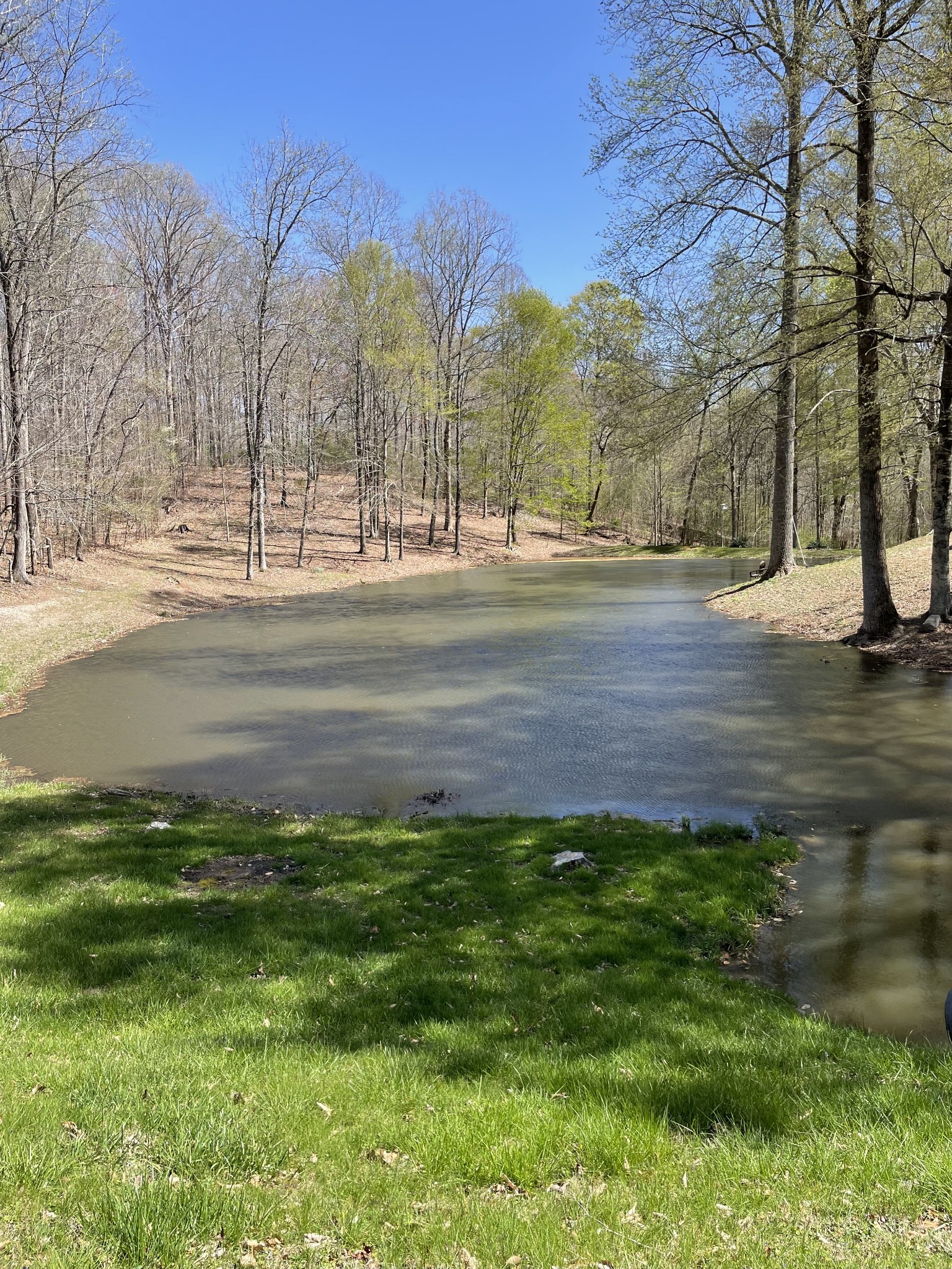 310 Shasteen Ridge Road Lynchburg, TN 37352 - Photo 33 of 36 a view of yard with large trees