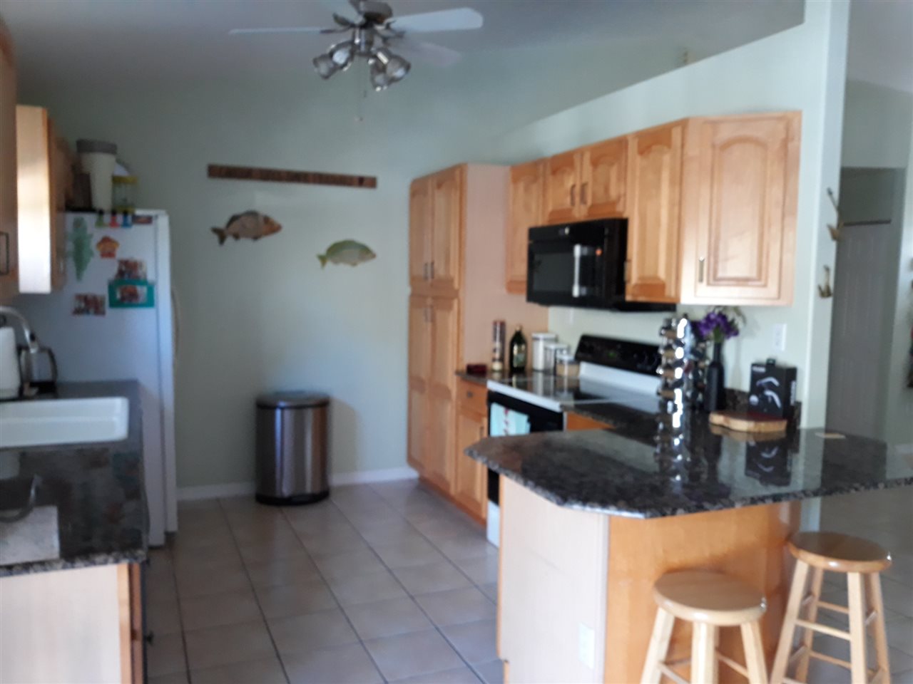 219 Royal Road St. Augustine, FL 32086 - Photo 6 of 16