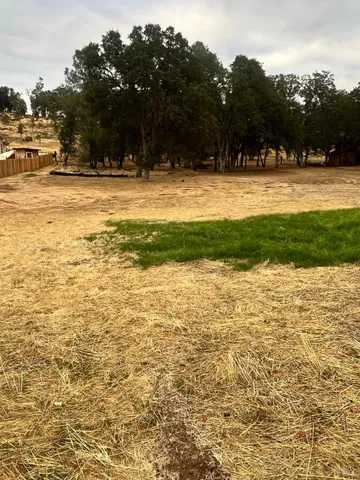 a view of outdoor space with deck and tree