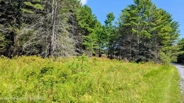 $195,000 | 82 Conifer Lake Road West, Jewett, NY 12444