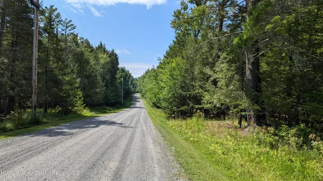 $195,000 | 82 Conifer Lake Road West, Jewett, NY 12444