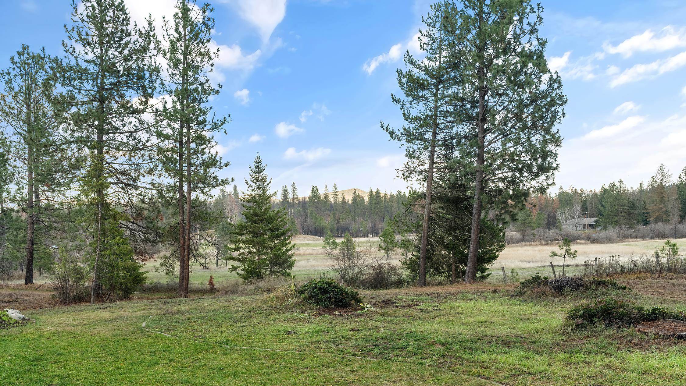 12621 East Blanchard Road Elk, WA 99009 - Photo 40 of 50