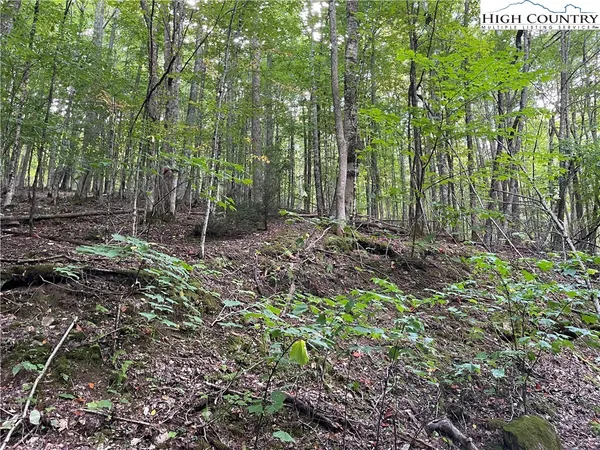 $14,000 | 126 Arrowhead Road, Beech Mountain, NC 28604
