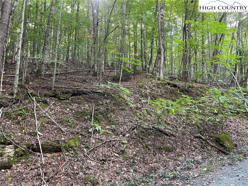 126 Arrowhead Road Beech Mountain, NC 28604 - Photo 2 of 3