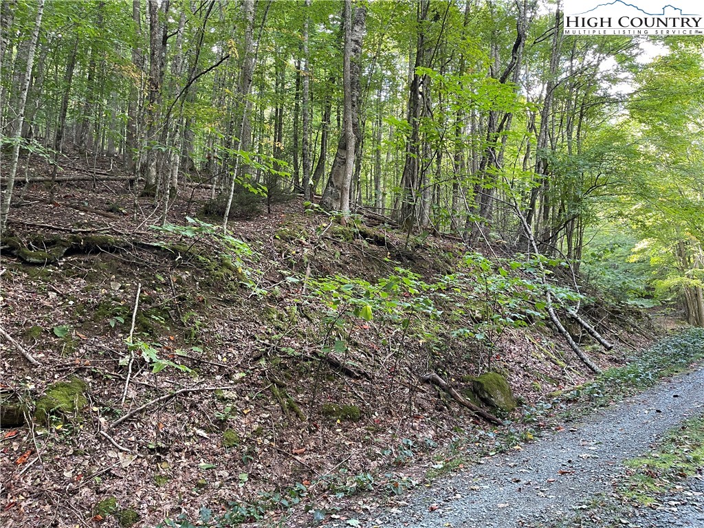 126 Arrowhead Road Beech Mountain, NC 28604 - Photo 3 of 3