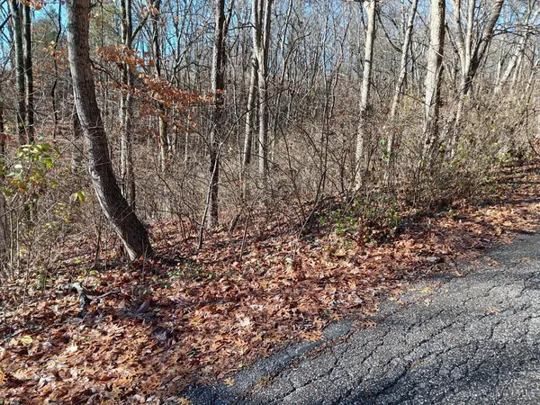 $15,000 | 0 Alpine Terrace, Cincinnati, OH 45157