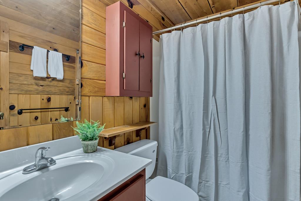 1164 Dividing Ridge Road Mineral Bluff, GA 30559 - Photo 23 of 28 Gallery Image 23
