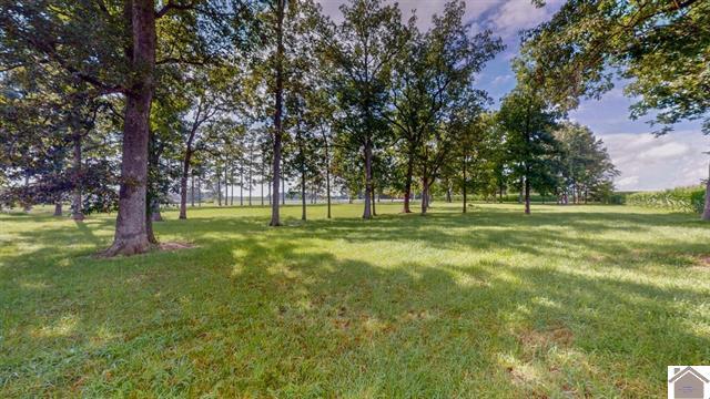 4214 Byars Road Hazel, KY 42049 - Photo 9 of 17 132783-983051e6-e714-40f3-a897-fed98ef4c
