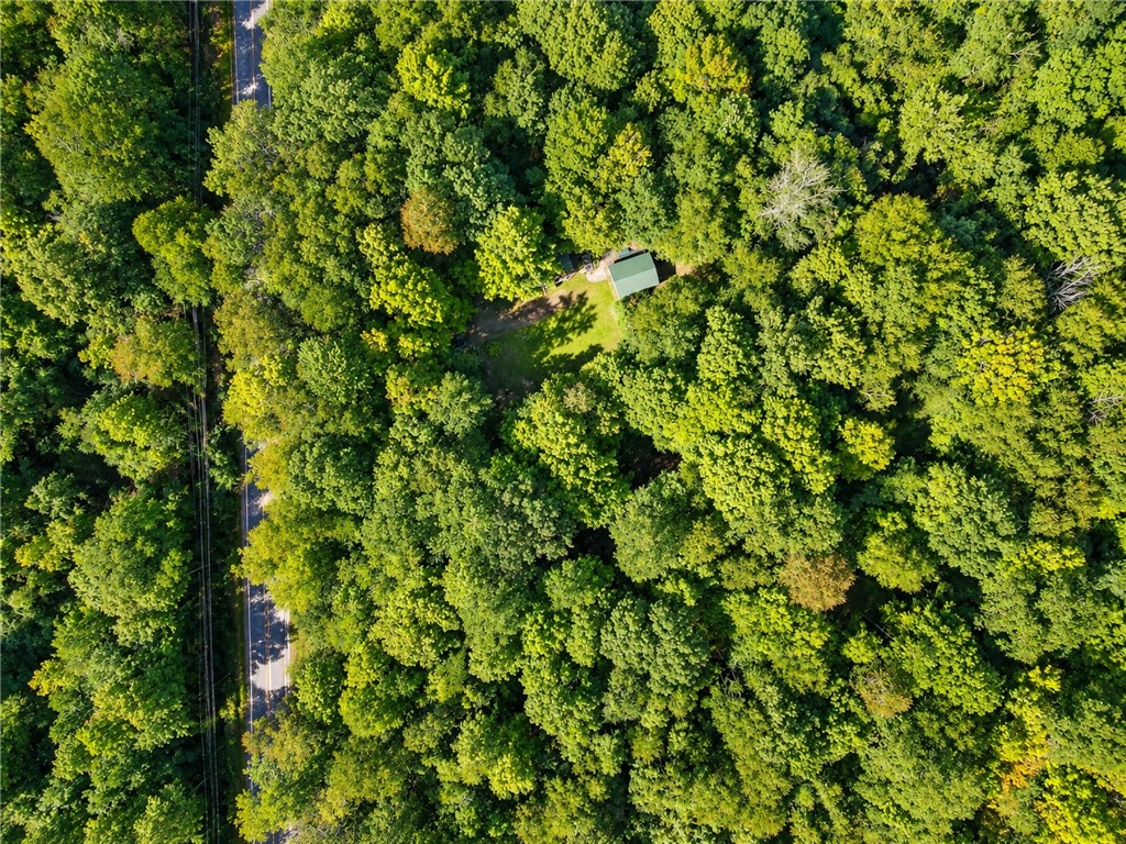 6708 Lake Bluff Road Huron, NY 14516 - Photo 25 of 41 aerial