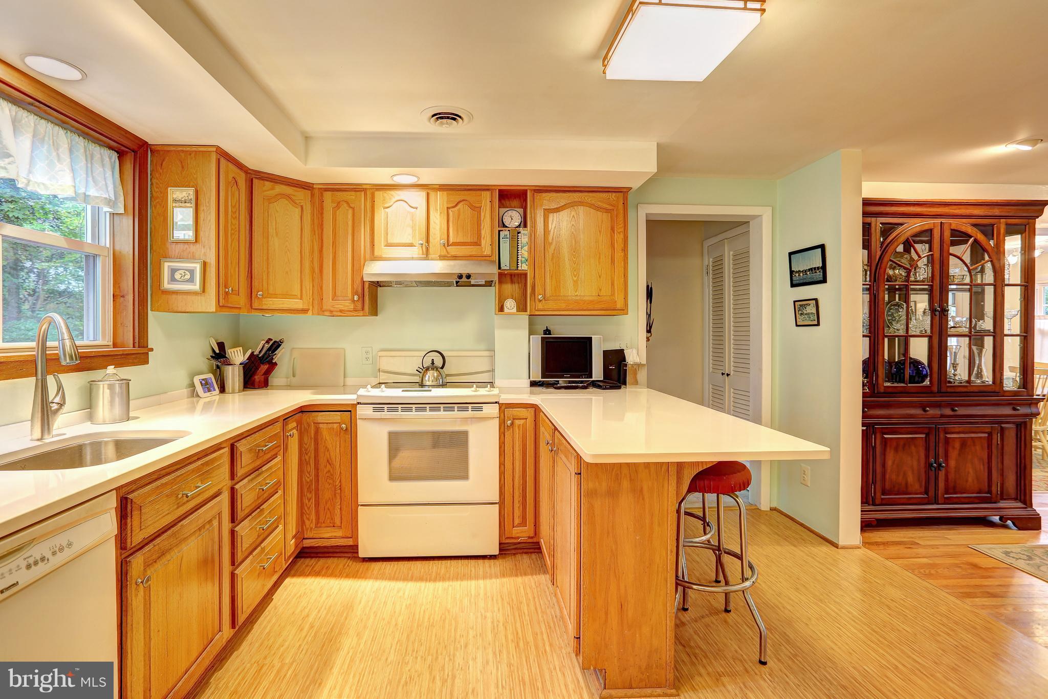 Kitchen with bamboo floors