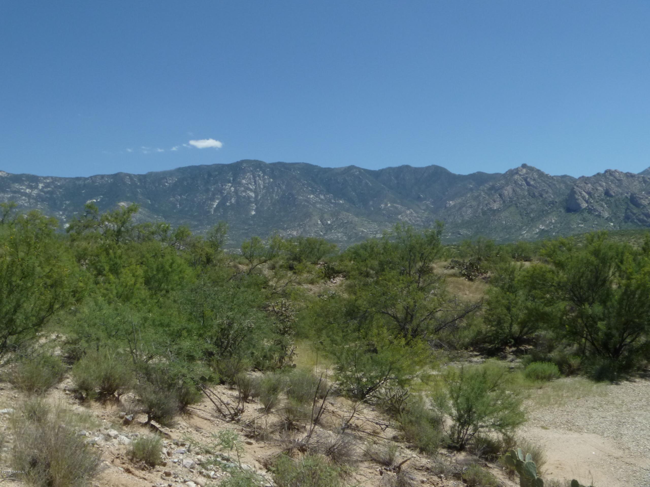 North Bowman Road Tucson, AZ 85739 - Photo 1 of 2
