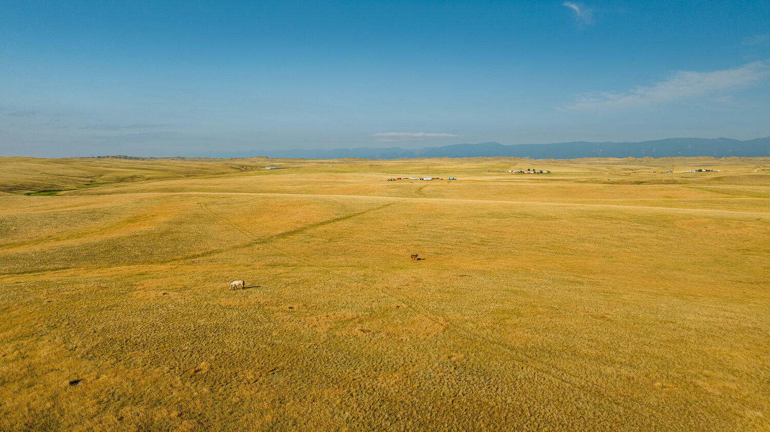 32 Wallows Creek Road, Unit PARCEL 1 Buffalo, WY 82834 - Photo 4 of 29 004_dji_20250718080013_0235_d_379