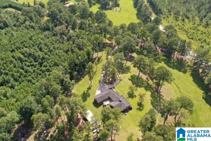 7030 Howells Cove Road Talladega, AL 35160 - Photo 6 of 48