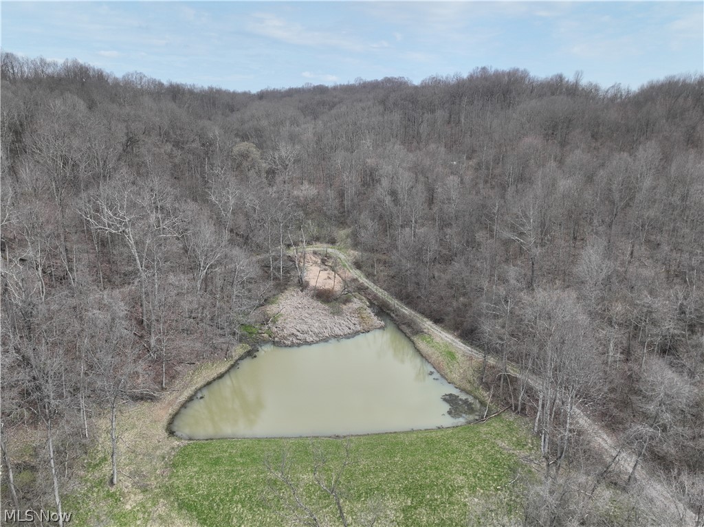 39000 Lees Run Road Cadiz, OH 43907 - Photo 10 of 49
